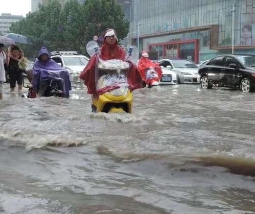 河南兄妹吃瓜事件视频,一场引发网友热议的乡村奇闻
