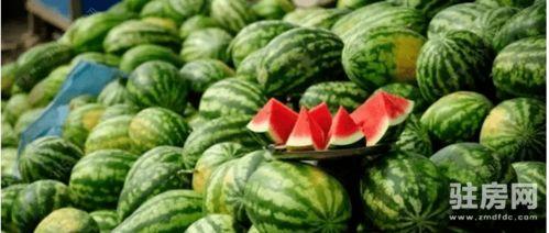 银湖吃瓜的意思,揭秘“银湖吃瓜”现象背后的网络文化现象