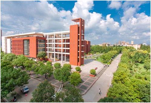 湖北荆州大学吃瓜,揭秘校园里的那些“秘密”