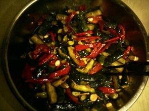 什么瓜能淹咸菜吃,揭秘“什么瓜能淹咸菜吃”的奇妙食趣