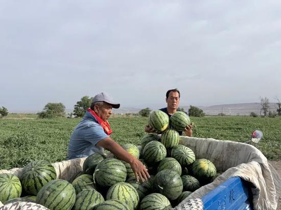 本是吃瓜季节,吃瓜群众狂欢季