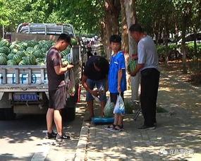 永州吃瓜群众案件,网络舆论下的法律边界与道德拷问