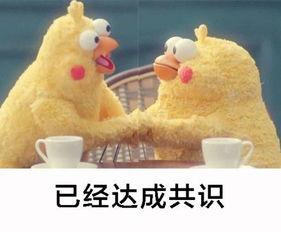 喜欢吃瓜的人外号,揭秘爱吃瓜人群的独特魅力