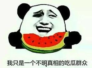 谁有吃瓜群,网络社交新现象背后的故事