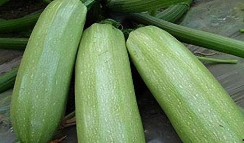 二月吃瓜,盘点娱乐圈的甜蜜与苦涩