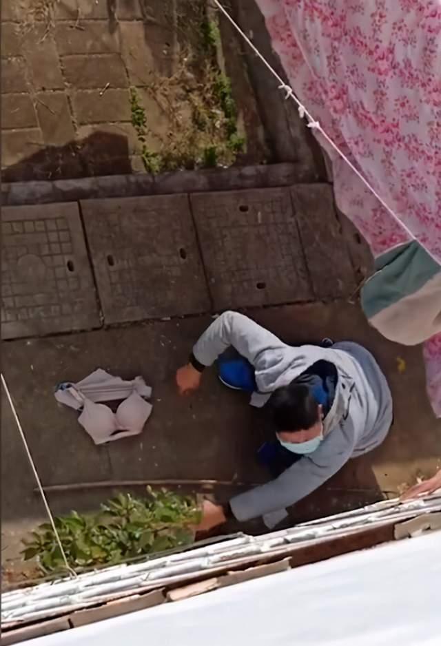 女生宿舍鬼吃瓜,鬼吃瓜背后的真相揭秘