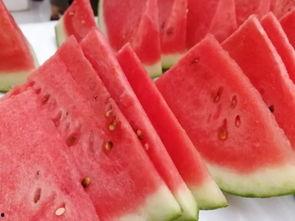 夏季乘凉吃瓜,清凉一夏，尽享瓜果盛宴