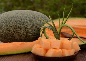 今天吃啥呀哈密瓜呢