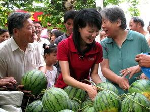 网络吃瓜图,揭秘娱乐圈幕后真相
