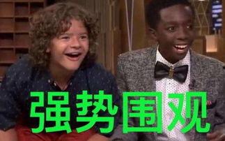 怎么diss吃瓜的人