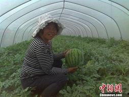 江苏宿迁吃瓜事件视频,一场引发热议的街头冲突瞬间