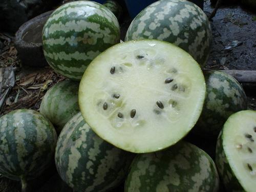 怀孕吃绿宝瓜好吗,绿宝瓜的营养益处与食用建议