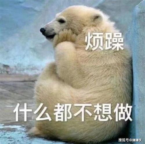 吃瓜群众起床了图片,新的一天，新视角