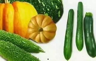 福宝吃瓜视频,揭秘娱乐圈幕后故事