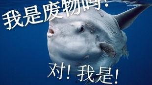 吃瓜王子翻车鱼,揭秘网络红人背后的真相