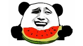 李爸爸吃瓜群众