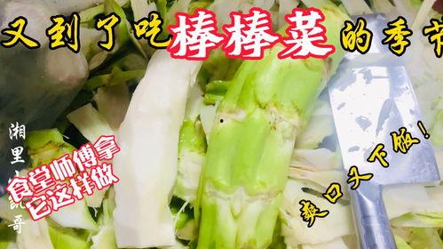 济南语文老师吃瓜,一场意外的网络热议