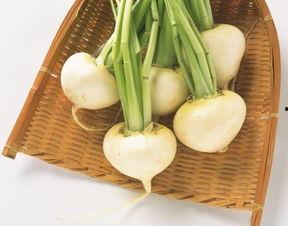 吃萝卜的瓜,一场味蕾的盛宴