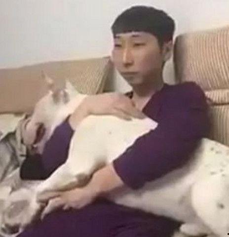 呆瓜吃瓜结局怎么样,结局出人意料，笑中带泪