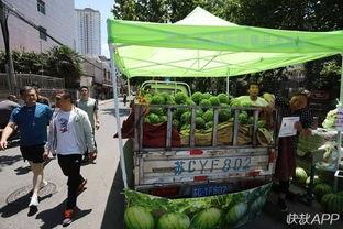 吃瓜群众最多城市,揭秘全国最热门的瓜城风云