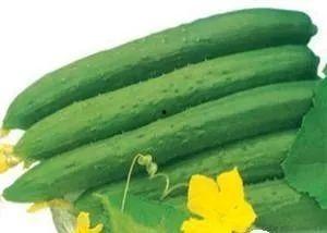 夏天常吃三瓜,夏日消暑三瓜养生攻略