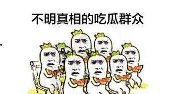 婷婷吃瓜群众,揭秘娱乐圈幕后故事