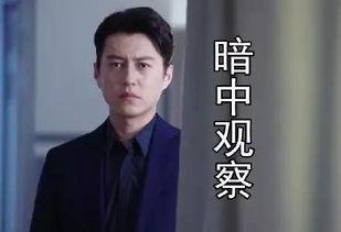 吃瓜的老干部,揭秘官场背后的故事