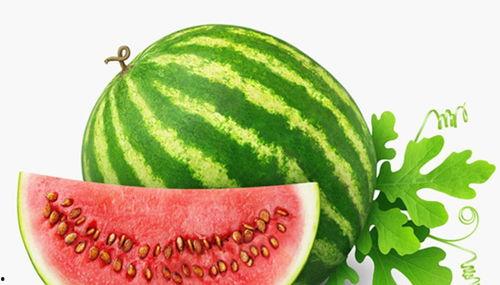 凉爽吃瓜