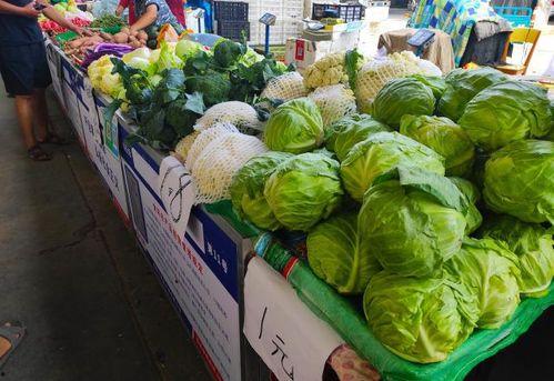 摆摊吃瓜怎么做,街头小吃的魅力与人生百态